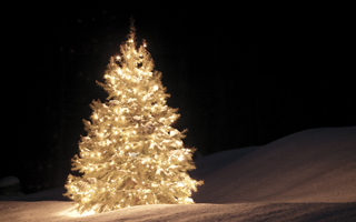 Liberty Group contributes to Newton Medical Center’s Festival of Lights!