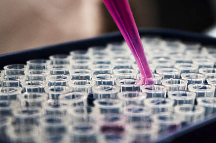 Professional Laboratory Moves